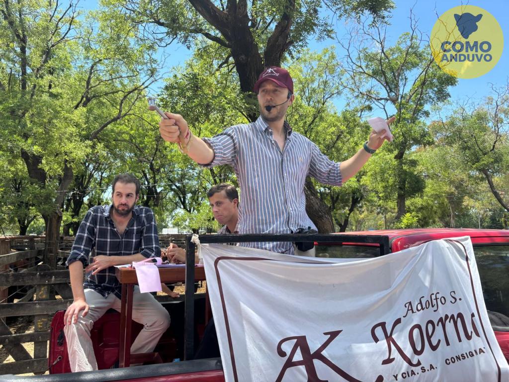 Adolfo S. Koerner y Cía